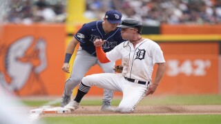 Rays Tigers Baseball