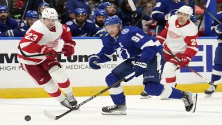 Red Wings Lightning Hockey