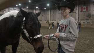 Cowboy Christmas Open Horse Show