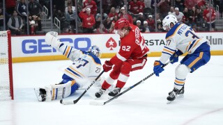 Sabres Red Wings Hockey