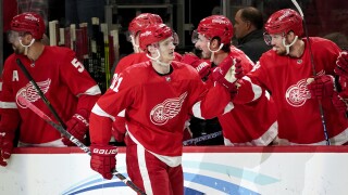 Dominik Kubalik Blackhawks Red Wings Hockey