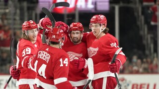 Islanders Red Wings Hockey 